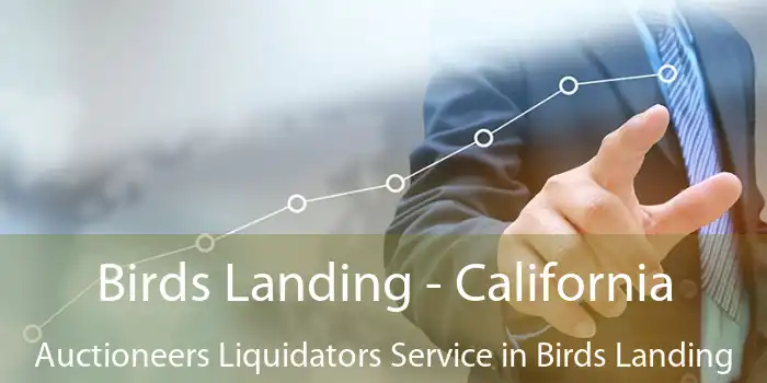 Birds Landing - California Auctioneers Liquidators Service in Birds Landing