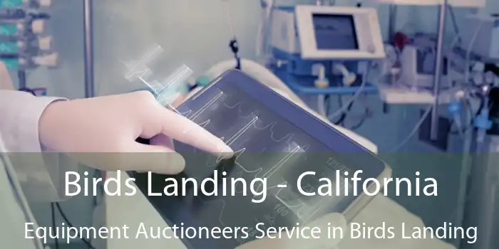 Birds Landing - California Equipment Auctioneers Service in Birds Landing