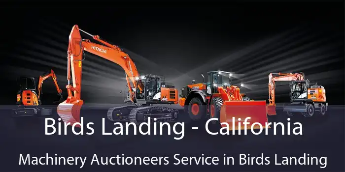 Birds Landing - California Machinery Auctioneers Service in Birds Landing