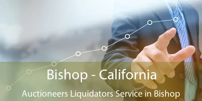 Bishop - California Auctioneers Liquidators Service in Bishop