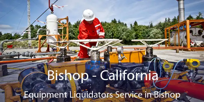 Bishop - California Equipment Liquidators Service in Bishop