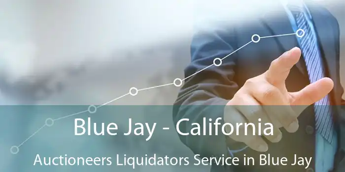 Blue Jay - California Auctioneers Liquidators Service in Blue Jay