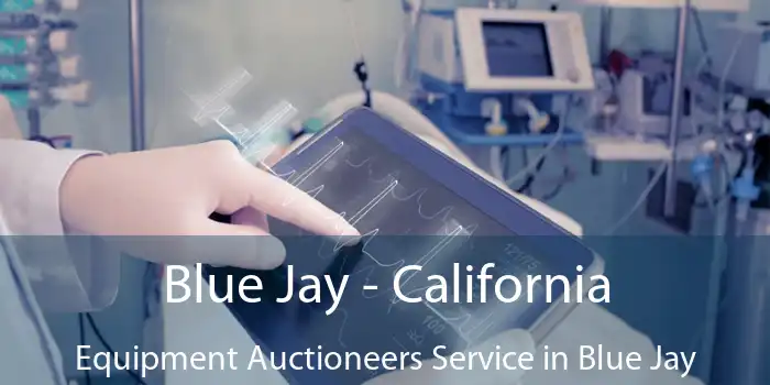 Blue Jay - California Equipment Auctioneers Service in Blue Jay