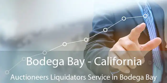 Bodega Bay - California Auctioneers Liquidators Service in Bodega Bay