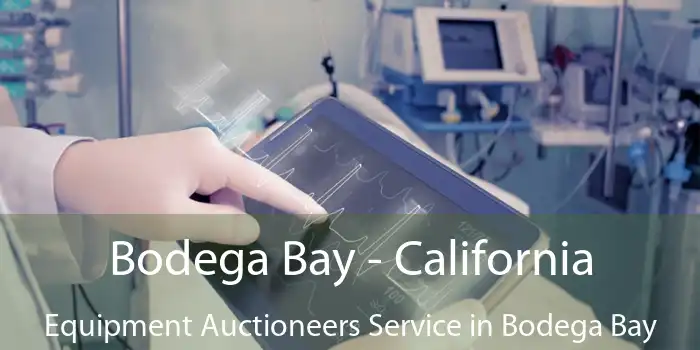 Bodega Bay - California Equipment Auctioneers Service in Bodega Bay