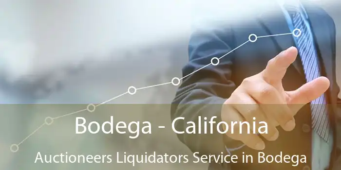 Bodega - California Auctioneers Liquidators Service in Bodega