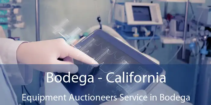 Bodega - California Equipment Auctioneers Service in Bodega