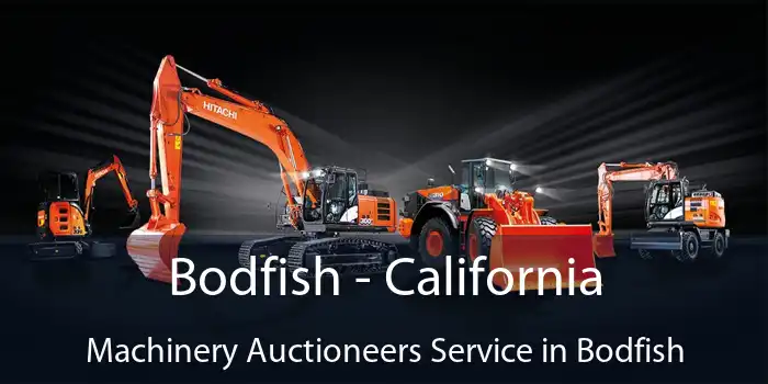 Bodfish - California Machinery Auctioneers Service in Bodfish