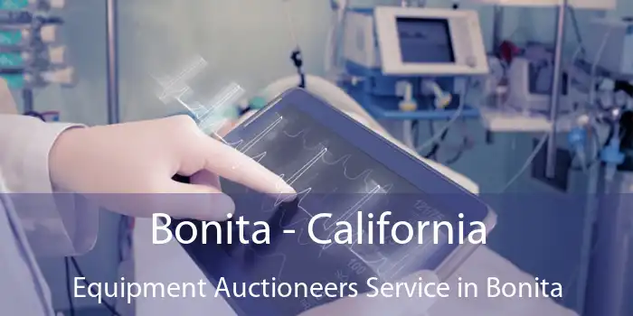 Bonita - California Equipment Auctioneers Service in Bonita