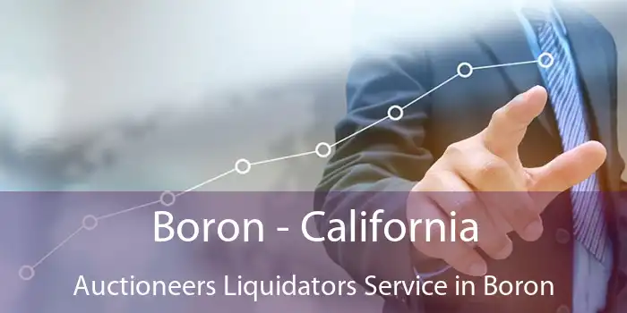 Boron - California Auctioneers Liquidators Service in Boron