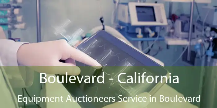 Boulevard - California Equipment Auctioneers Service in Boulevard