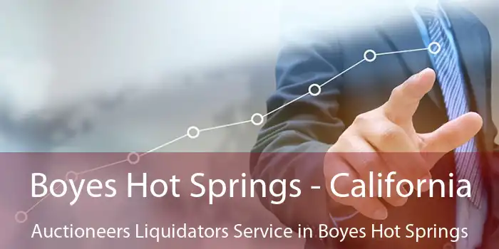 Boyes Hot Springs - California Auctioneers Liquidators Service in Boyes Hot Springs