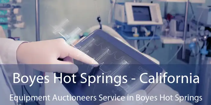 Boyes Hot Springs - California Equipment Auctioneers Service in Boyes Hot Springs