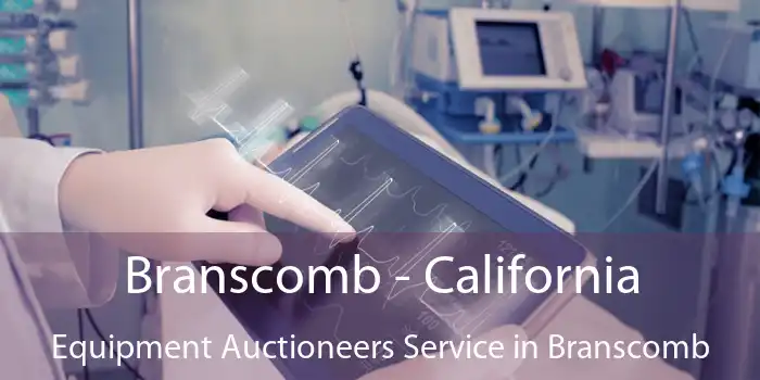 Branscomb - California Equipment Auctioneers Service in Branscomb