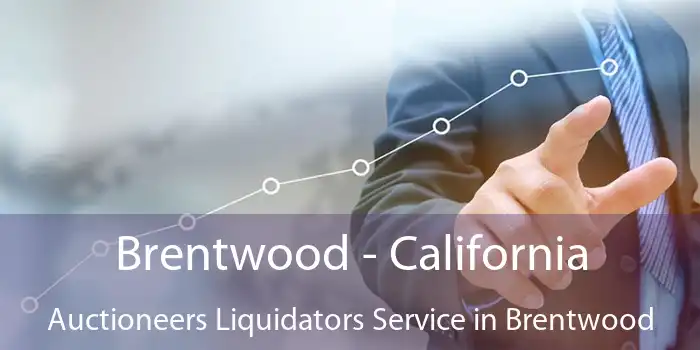 Brentwood - California Auctioneers Liquidators Service in Brentwood