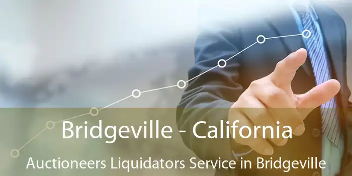 Bridgeville - California Auctioneers Liquidators Service in Bridgeville