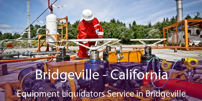 Bridgeville - California Equipment Liquidators Service in Bridgeville