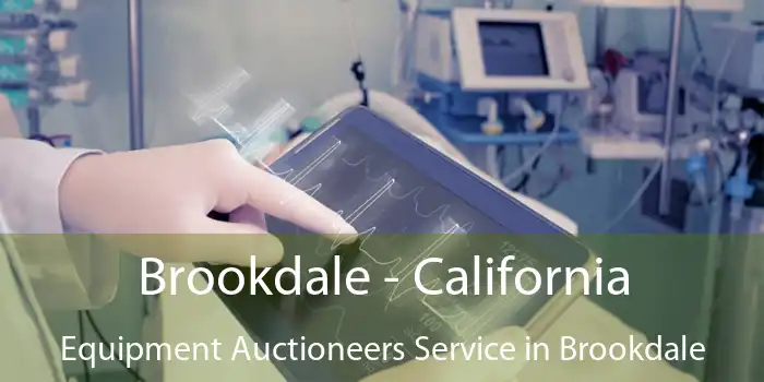 Brookdale - California Equipment Auctioneers Service in Brookdale