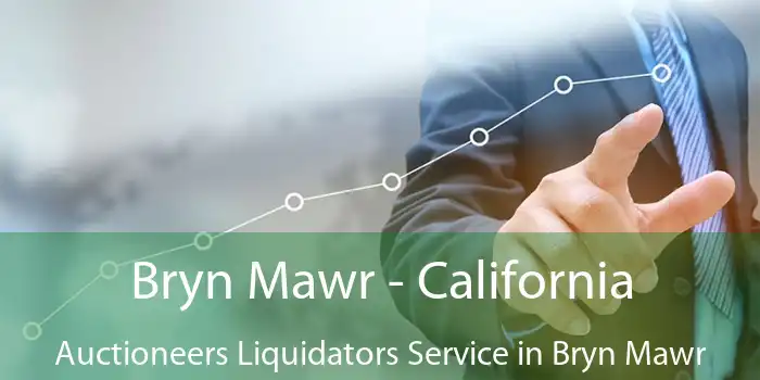 Bryn Mawr - California Auctioneers Liquidators Service in Bryn Mawr