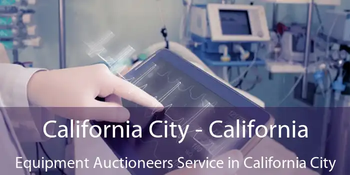 California City - California Equipment Auctioneers Service in California City