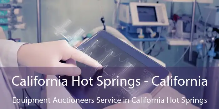 California Hot Springs - California Equipment Auctioneers Service in California Hot Springs