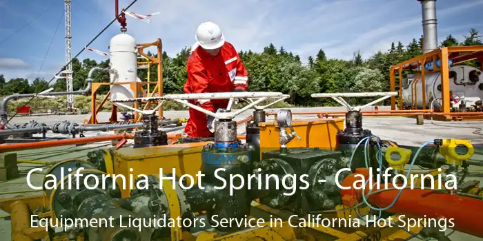 California Hot Springs - California Equipment Liquidators Service in California Hot Springs