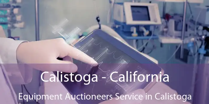 Calistoga - California Equipment Auctioneers Service in Calistoga