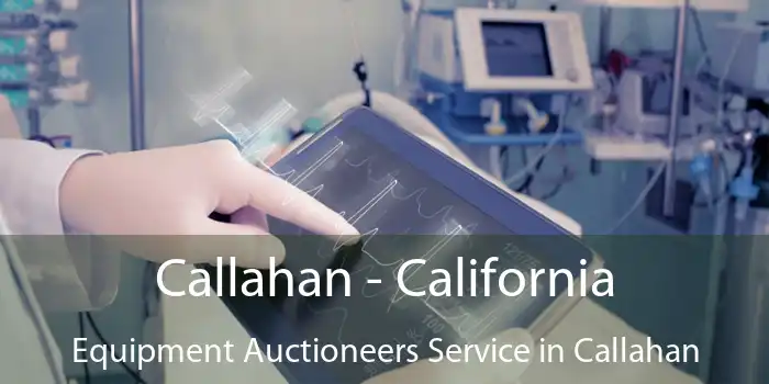 Callahan - California Equipment Auctioneers Service in Callahan