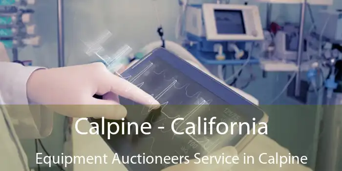 Calpine - California Equipment Auctioneers Service in Calpine