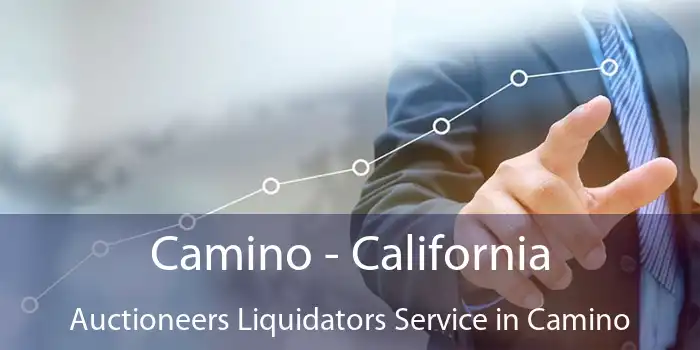 Camino - California Auctioneers Liquidators Service in Camino