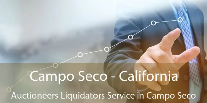 Campo Seco - California Auctioneers Liquidators Service in Campo Seco