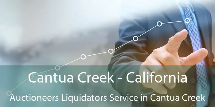 Cantua Creek - California Auctioneers Liquidators Service in Cantua Creek