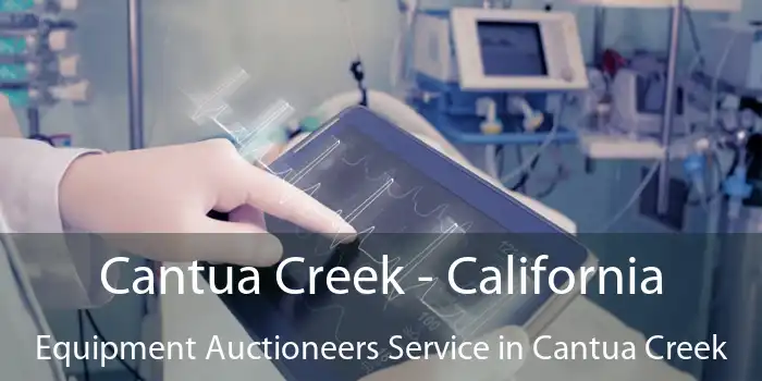 Cantua Creek - California Equipment Auctioneers Service in Cantua Creek