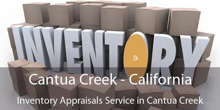 Cantua Creek - California Inventory Appraisals Service in Cantua Creek