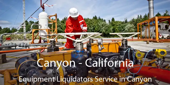 Canyon - California Equipment Liquidators Service in Canyon