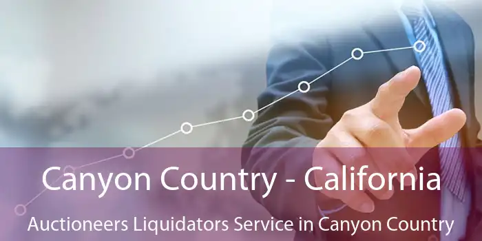 Canyon Country - California Auctioneers Liquidators Service in Canyon Country