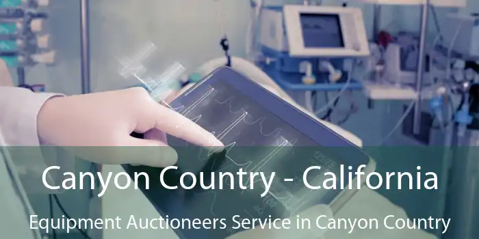 Canyon Country - California Equipment Auctioneers Service in Canyon Country