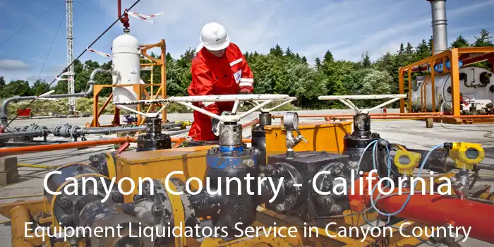 Canyon Country - California Equipment Liquidators Service in Canyon Country