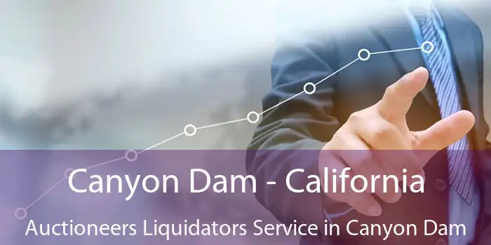 Canyon Dam - California Auctioneers Liquidators Service in Canyon Dam