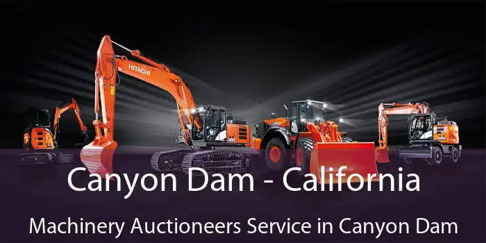 Canyon Dam - California Machinery Auctioneers Service in Canyon Dam