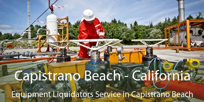 Capistrano Beach - California Equipment Liquidators Service in Capistrano Beach