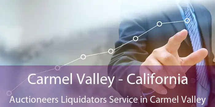 Carmel Valley - California Auctioneers Liquidators Service in Carmel Valley