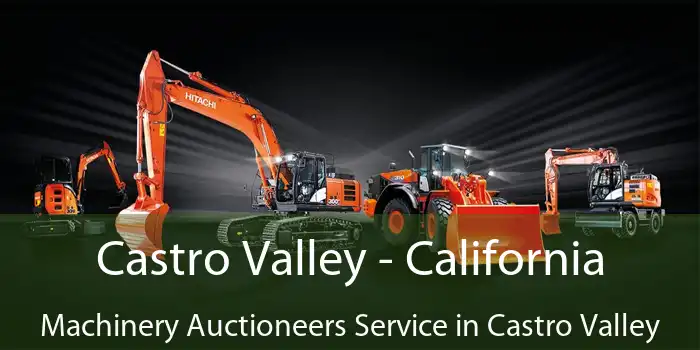 Castro Valley - California Machinery Auctioneers Service in Castro Valley