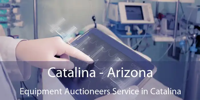 Catalina - Arizona Equipment Auctioneers Service in Catalina