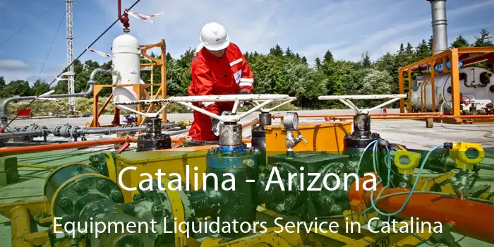 Catalina - Arizona Equipment Liquidators Service in Catalina