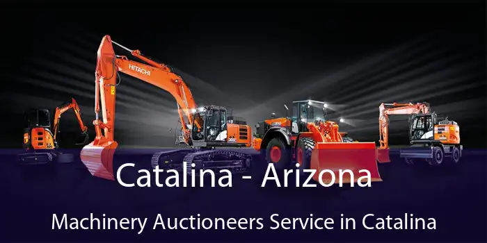 Catalina - Arizona Machinery Auctioneers Service in Catalina