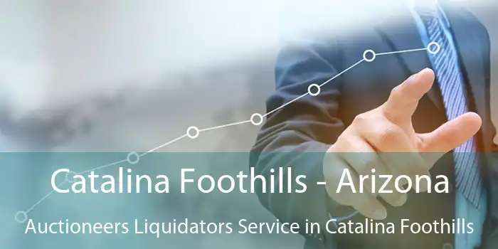 Catalina Foothills - Arizona Auctioneers Liquidators Service in Catalina Foothills