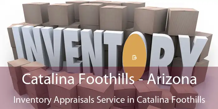 Catalina Foothills - Arizona Inventory Appraisals Service in Catalina Foothills