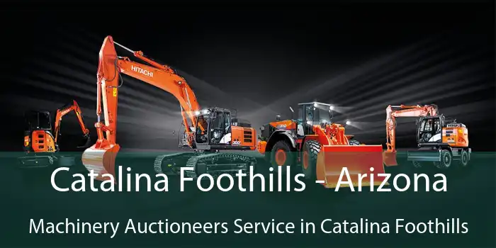 Catalina Foothills - Arizona Machinery Auctioneers Service in Catalina Foothills