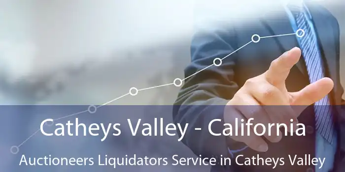 Catheys Valley - California Auctioneers Liquidators Service in Catheys Valley